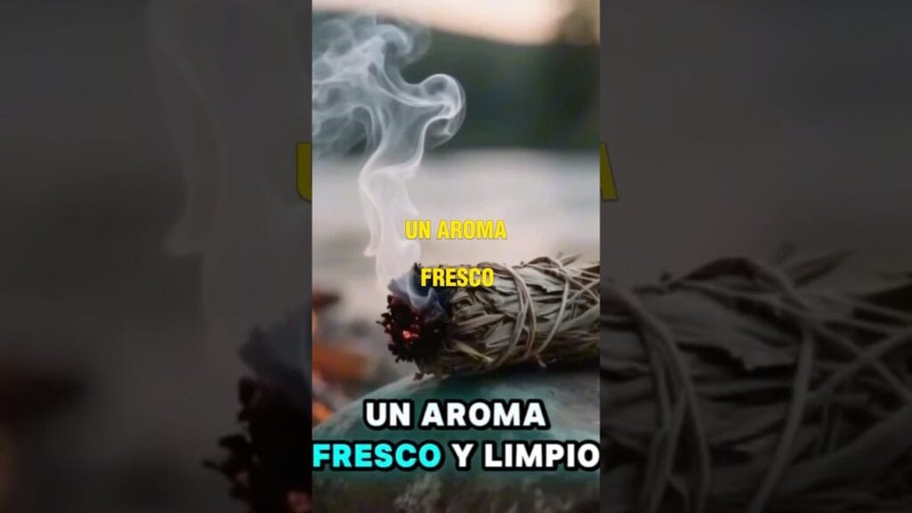 Me invitaron a un RITUAL secreto… #Shorts